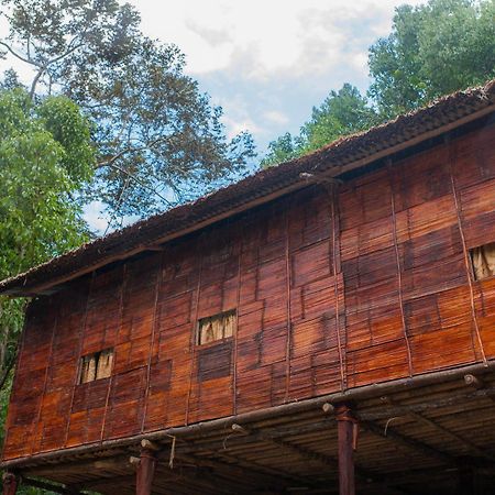 Rain Forest Inn Ringlet Exterior foto