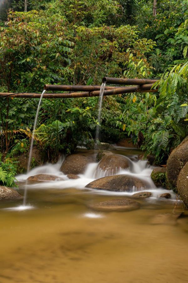 Rain Forest Inn Ringlet Exterior foto
